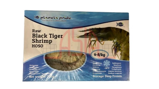 [GOLDEN OCEAN] Block Shrimps BT 13/15