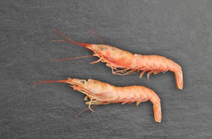 [PROFAND]  LANGOSTINO ARGENTIJNSE RODE GARNALEN DV (2 KG)